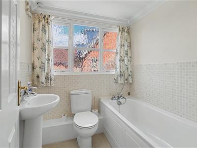 Picture 23